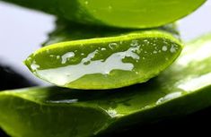 a green leaf with drops of water on it