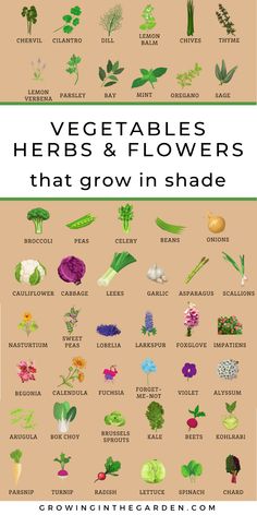 vegetables and flowers that grow in shade with text overlaying the top right side