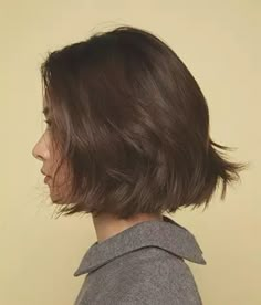 Short Hair With Thick Hair, Short Strait Hair, Chunky Bob Haircut, Bob Haircut Brown Hair, Low Maintenance Bob, Chin Length Haircut, Short Layered Bobs, Bob Haircut Medium, Back Short Hair