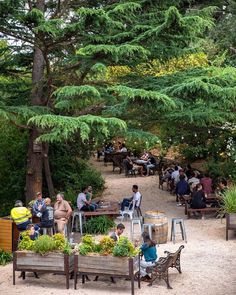 people sitting at tables in the middle of a park with lots of trees and plants