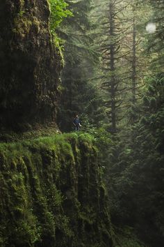 a man standing on top of a lush green forest next to a tall rock wall