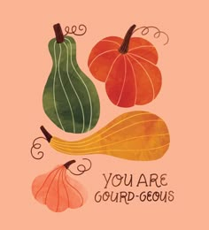 an illustration of gourds and pumpkins with the words you are gourd - geous