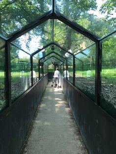 people are walking across a walkway in a glass structure with trees and grass on the other side