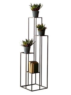 three potted plants are sitting on top of a metal stand with one plant in the middle