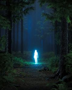 a person standing in the middle of a forest with blue light coming from their body