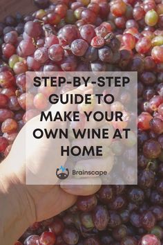 a hand picking grapes from a bucket with the words step by step guide to make your own wine at home