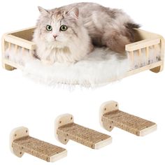 a cat laying on top of a wooden bed with two catsnips next to it