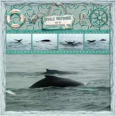 an image of whale watching in the ocean with pictures on it's front and side