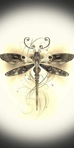 a drawing of a dragonfly with intricate designs on it's wings and tail