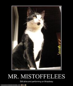 Cats The Musical Mr Mistoffelees, Mozart Memes Funny