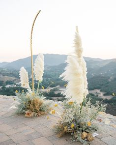 two tall white flowers sitting on top of a brick floor next to grass and bushes