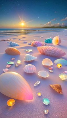 seashells on the beach at sunset with stars and clouds in the sky above them