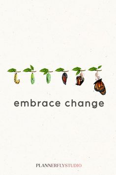 the words embrace change are lined up on a line with leaves and butterflies hanging from them