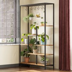 a shelf filled with potted plants next to a window