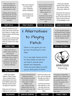 the ultimate guide to playing fetch in soccer info sheet for kids and adults with instructions on how to play fetch