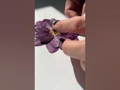 a person holding a purple flower in their left hand and touching it with the other hand