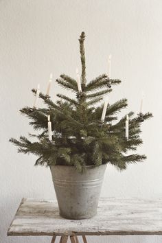 a potted christmas tree with lit candles in it on top of a wooden table