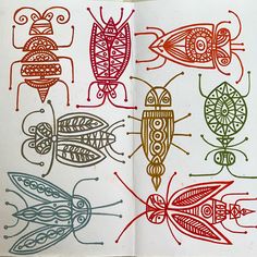 an open book with drawings of bugs and insects on it's cover, in red ink