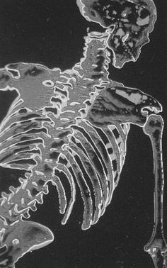 an image of a skeleton in black and white