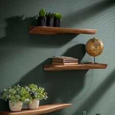 three wooden shelves with plants and books on them