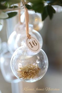 three ornaments hanging from a tree with numbers on them