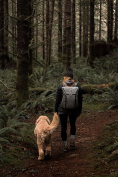 a person walking with a dog in the woods