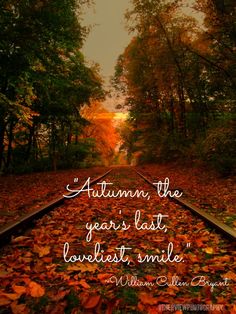 a train track with leaves on it and the words autumn the year's best tourist smile