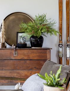 a potted plant sitting on top of a wooden dresser