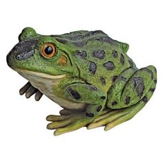 a green frog sitting on top of a white surface