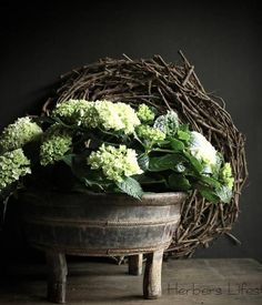 a potted plant sitting on top of a wooden table next to a bird's nest