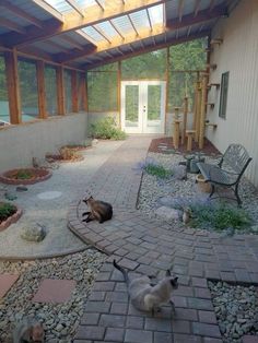 two cats laying on the ground in front of a house