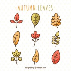 autumn leaves in flat design style