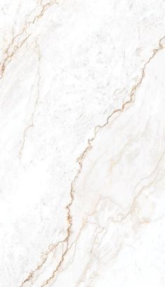 a white marble texture with gold veining