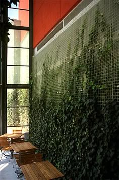 an outdoor dining area with wooden benches and plants growing on the wall behind it, in front of a large window