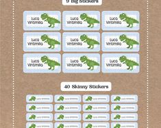 an info sheet showing the different types of stickers for alligators and crocodiles