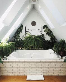 a bathtub with plants growing on the wall and ceiling in an attic style bathroom