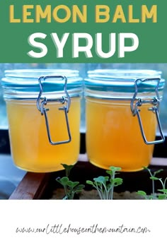 Lemon Balm Syrup Homemade Cough Remedies, Ginger Syrup, Elderberry Syrup, Herb Recipes