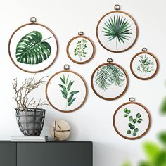 the wall is decorated with different types of tropical leaves and plants in wooden hoop frames