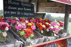 colorful flowers are in vases on an old truck at a farmer's market