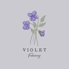 the violett logo is shown on a gray background with purple flowers and green leaves