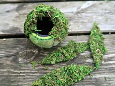 a moss covered ball sitting on top of a wooden table