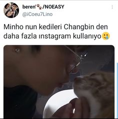 an image of a man kissing a cat