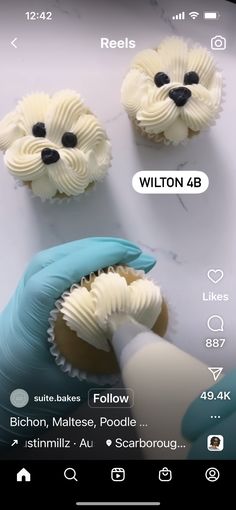 two cupcakes with white frosting and blue icing, one has a dog's face on it