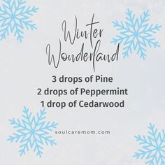 Winter Essential Oil Blends, Christmas Essential Oil Blends, Holiday Diffuser Blends, Wintergreen Essential Oil, Forest Essentials, Diy Essential Oil Recipes, Essential Oils 101