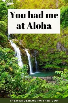 a waterfall with the words you had me at aloha