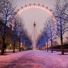 a ferris wheel is lit up in the night sky near trees and snow covered ground