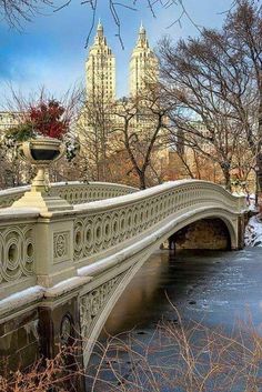 a bridge over a frozen river in central park, with the empire building in the background