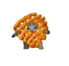 an animal made out of onion rings on a white background with the image of a hamster peeking through it's hole in the middle