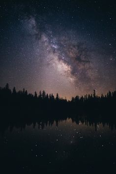 the night sky is filled with stars and trees, as well as some dark water