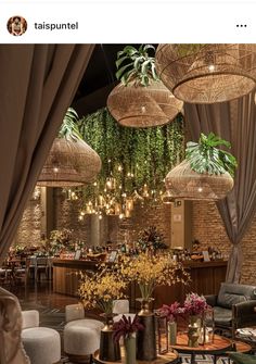 an image of a restaurant setting with plants hanging from the ceiling and chairs around it